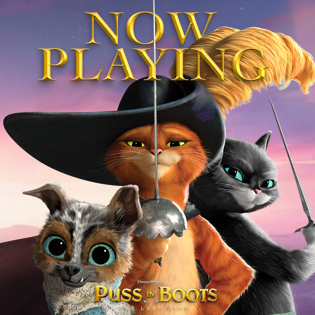 puss in boots poster